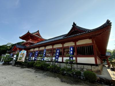 2024夏休みの旅・愛媛（9）早朝に神社を参拝