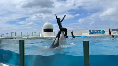 日帰り鴨川シーワールドでずぶ濡れになってきました