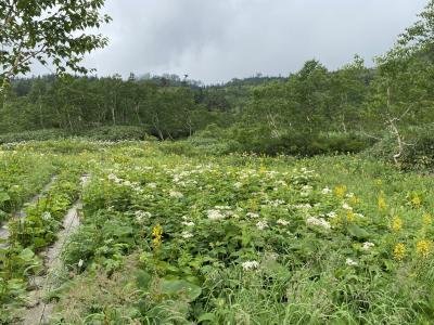 栂池高原ハイキング