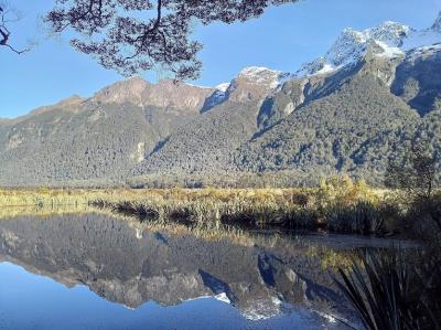 24年夏ニュージーランド8日間ツアー⑤ミラー湖、ミルフォードサウンドクルーズ船観光