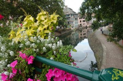 2023秋 後期高齢シニア冒険の旅 ストラスブール街歩き後編&えっ?!明日のホテルがキャンセルされた!