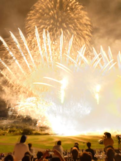 ぐるっとパス２　王子・飯田橋編と取手花火