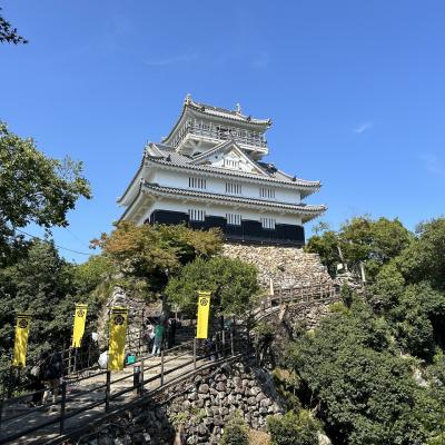 日帰り・初めて金華山、岐阜城、長良川花火大会だけは別記録