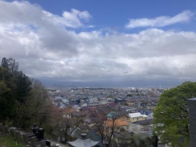 遅い桜を追っかけて