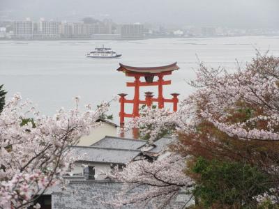２０２３年３月　広島県・宮島　桜を求めて散歩をしました。