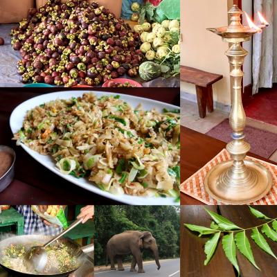 はじめてのスリランカ、エレファントギャザリングを見に行こう!【1.到着編】