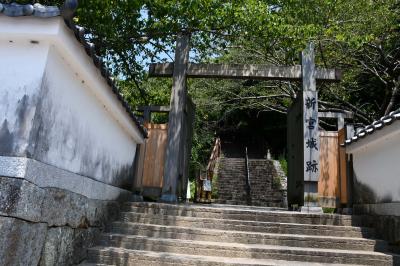 炎天下の新宮城跡