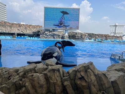 愛知県民65歳以上半額　名古屋港水族館　2024年8月