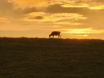 もう勘弁して!~雨の道東3台旅~ 憧れの北海道バイクツーリング vol.14(第1日~2日目)