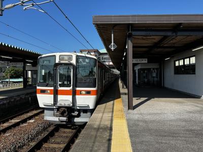 電車を乗り継いで東京へ　その4