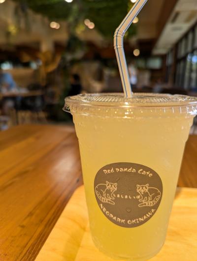 【レッサーパンダ遠征記】初めての夏の沖縄（２）沖縄グルメと名護のホテル編