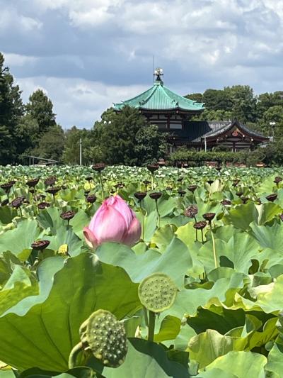 夏の東京をぶらぶら ８月後編