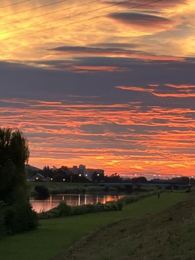 近場の鴉天狗に会いに行って来ました!