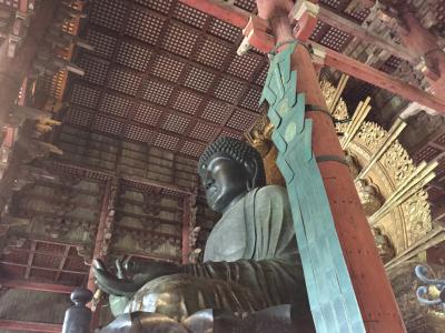 平等院と東大寺を巡る宇治&奈良弾丸旅