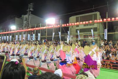 四国周遊４　阿波踊りを観に
