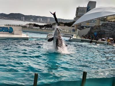 GO隠居ファミリーの勝浦旅行記