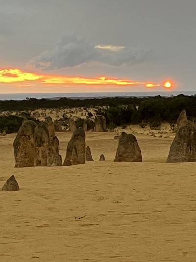大自然、夕焼け、かわいい動物、思ったとうりの旅