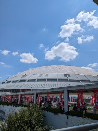 息子と弾丸2人旅 バンテリンドーム