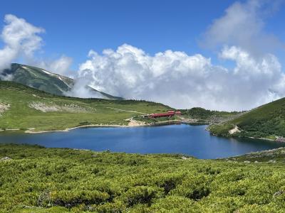 北アルプスの女王白馬岳の山頂に挑む盛夏の山旅