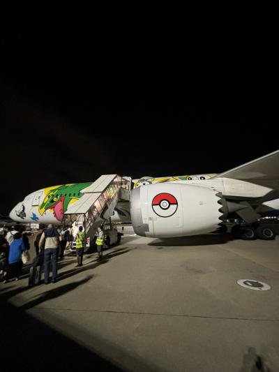 SFC修行2024インター修行② HND-SYD-HND（34-35レグ）