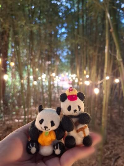 ネイティブと行く!第2回済州島旅行♪初日