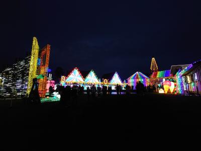 うさぎとイルミとドイツ村　1月の千葉1泊2日旅行（木更津・袖ヶ浦）