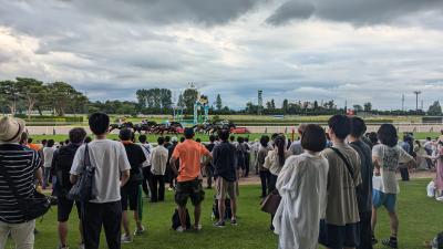 夏競馬2024 新潟競馬場アイビスサマーダッシュ