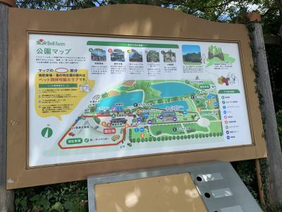 暑かったね、松阪ベルファーム