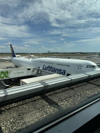 帰りも一応ANA修行？ ルフトハンザ航空B747-8などビジネスクラス　乗り継ぎ記録！