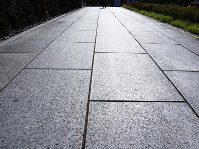 夏の特別公開が行われている智積院と「阿弥陀さん七変化」に行ってきた。