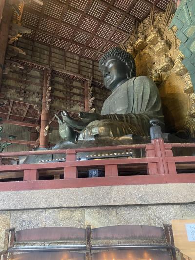 奈良の大仏に会いに行く旅！