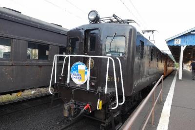 【大人鐡66】JR東日本「ひなび」・大井川鐵道「ビール列車」編（おまけで近江鉄道「ビア電」）