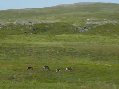 ２人で行きたかったヨーロッパ７（バス旅1）