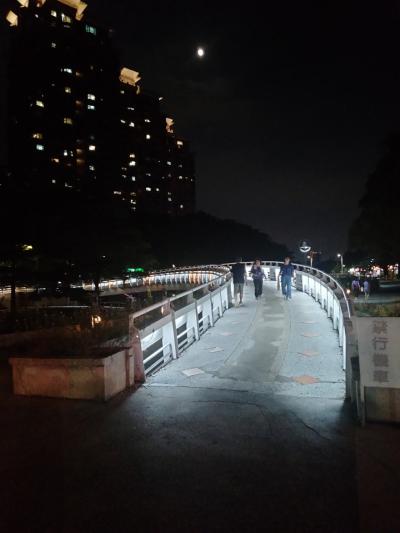 高雄滞在記：高雄日本語交流会/河堤公園散策/台風の後/台鉄跡の遊歩道を散策/高雄孔子廟 2024/07/13-29