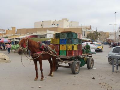 チュニジア世界遺産紀行2.