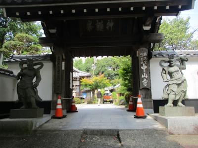 お盆で伊勢のお寺からドーミーイン津でのんびり