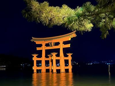 2024夏の家族旅はお盆で四国経由