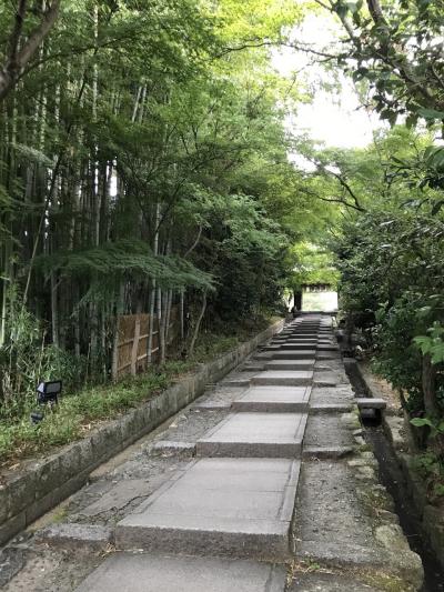 2024真夏の関西（1/3、観劇day）京都編