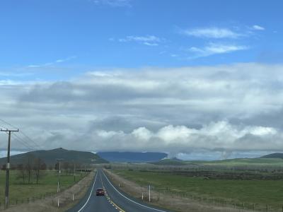 '24.06 有休&土日でオークランドに一人旅