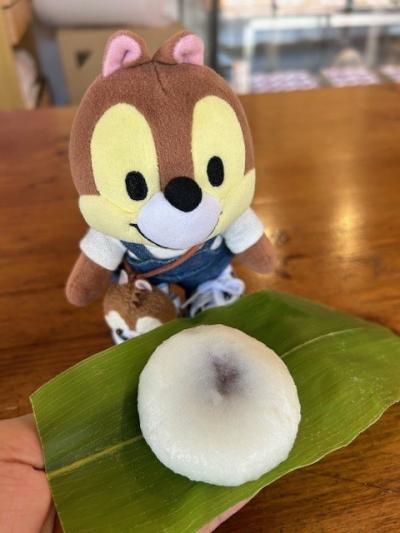 週末パスで鉄印集めに長野と新潟行ってきます②-新潟篇-
