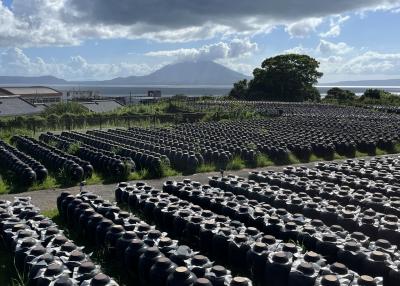 ⑪マダムの「知られざる神秘の離島　甑島列島縦断の旅3日間」という名の・・　2日目の　甑島？坂元の黒酢