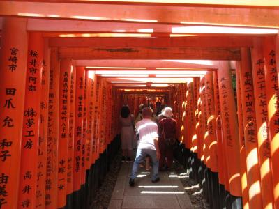 おかわりWESTERポイント全線フリーきっぷの旅・日帰り京都(202408)