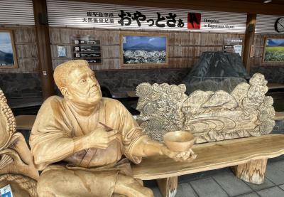 ⑮マダムの「知られざる神秘の離島　甑島列島縦断の旅3日間」という名の・・　3日目の3　桜島ＳＡ～ 鹿児島空港（足湯・買い物・ラウンジ）