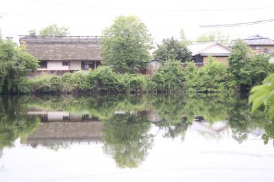 西国３３か所巡りの満願日帰り旅(丹波篠山・播州清水寺・花山院）