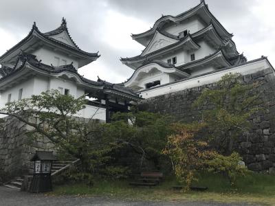 2024年8月　夏休み伊賀上野の旅