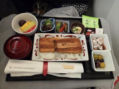 ☆2024.08ヨーロッパ☆7泊9日（その１：JL041便ビジネスクラスでロンドンへ/ハロッズ/バックトゥザフューチャー観劇）