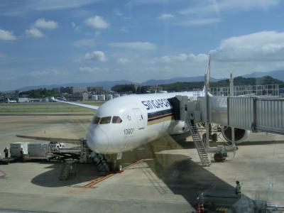 シンガポール航空で行くメルボルン旅行　Part3移動編（SQ655便福岡→シンガポール）
