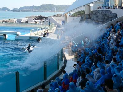 今夏もシャチの水を浴びに鴨川へ　1．鴨川シーワールド