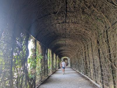 オーストリア旅行