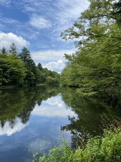2024 夏の軽井沢